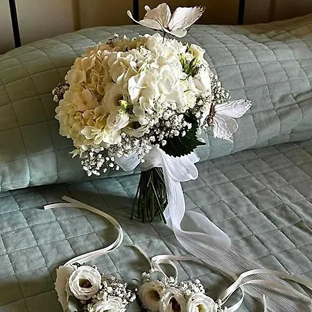مزرعة للإقامة Relax *